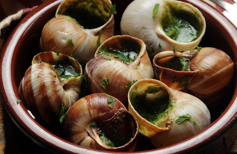 escargots de bourgogne